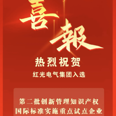 喜讯丨九游会电气集团入选国家重点试点企业名单